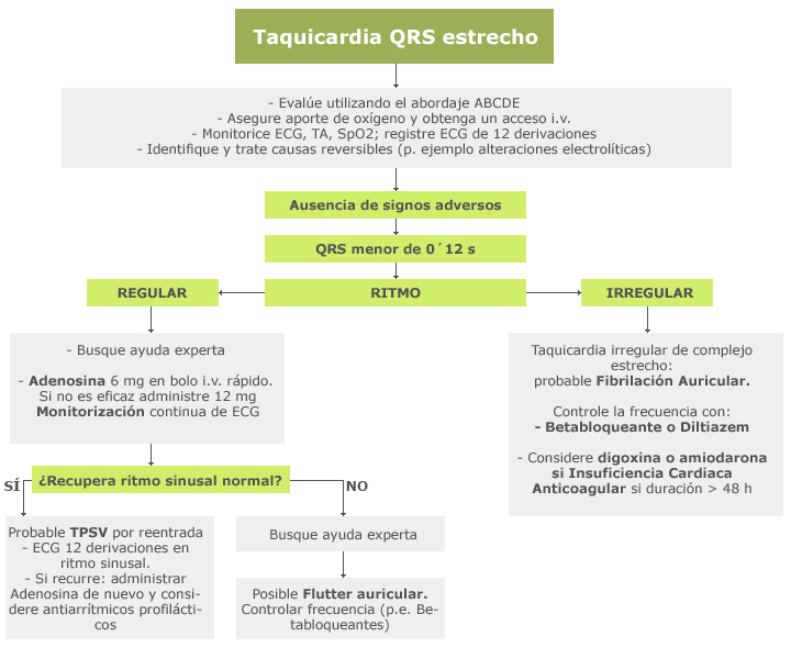 algoritmo taquicardia QRS estrecho