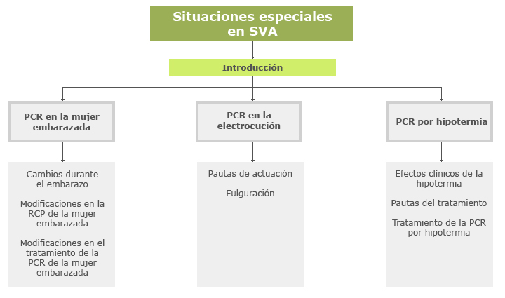 mapa contenidos