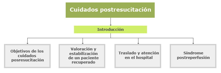 mapa de contenidos